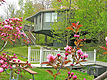 Villa 11